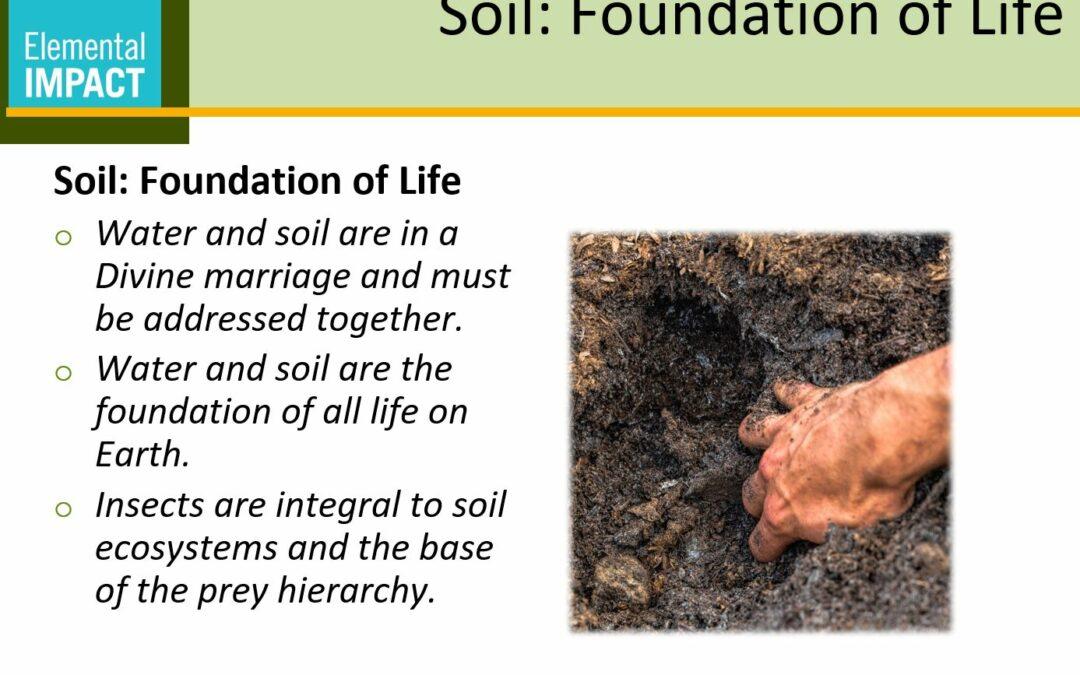 Soil: The Foundation of Life